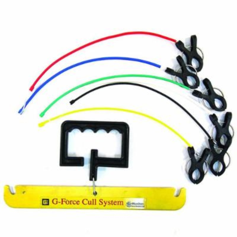 G Force Conservation Cull|Default Title|Default Title