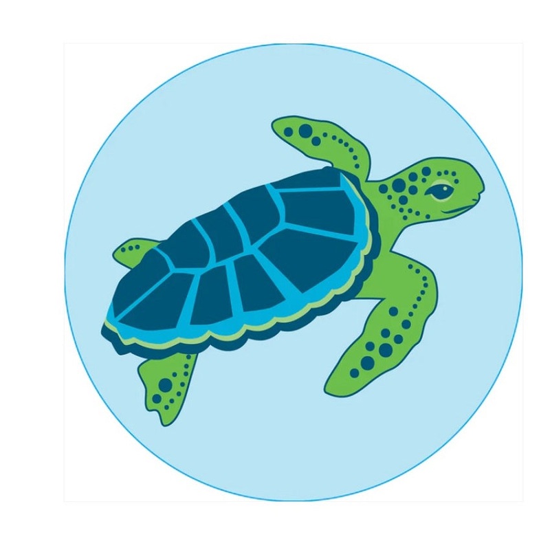 Bogg Bits Sea Turtle