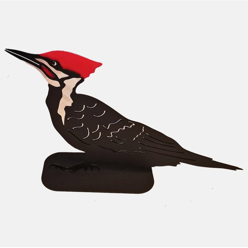 Ruggid Coast Pileated Woodpecker, Standing