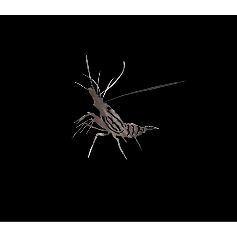 Ruggid Coast Spot Prawn 10.25 X 9.38