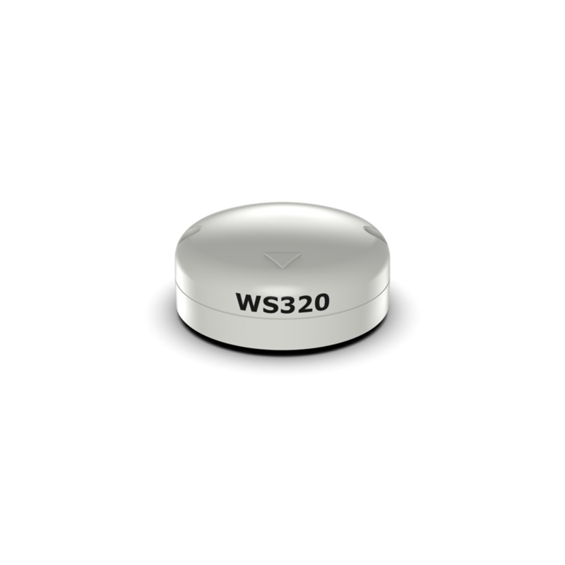 B&G WS320 (wireless) Interface