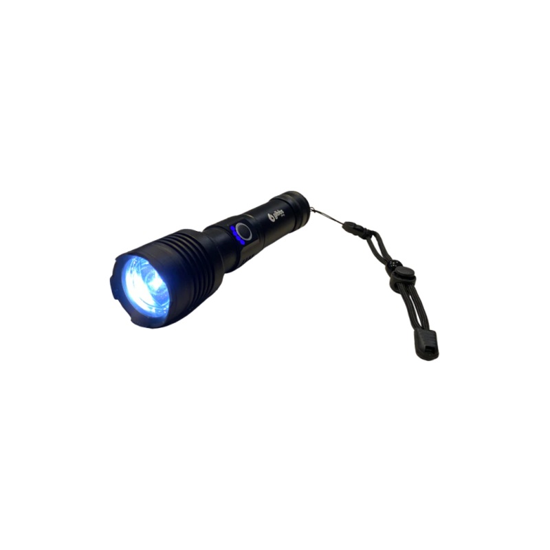 Gibbs LED Rechargeable Flashlight