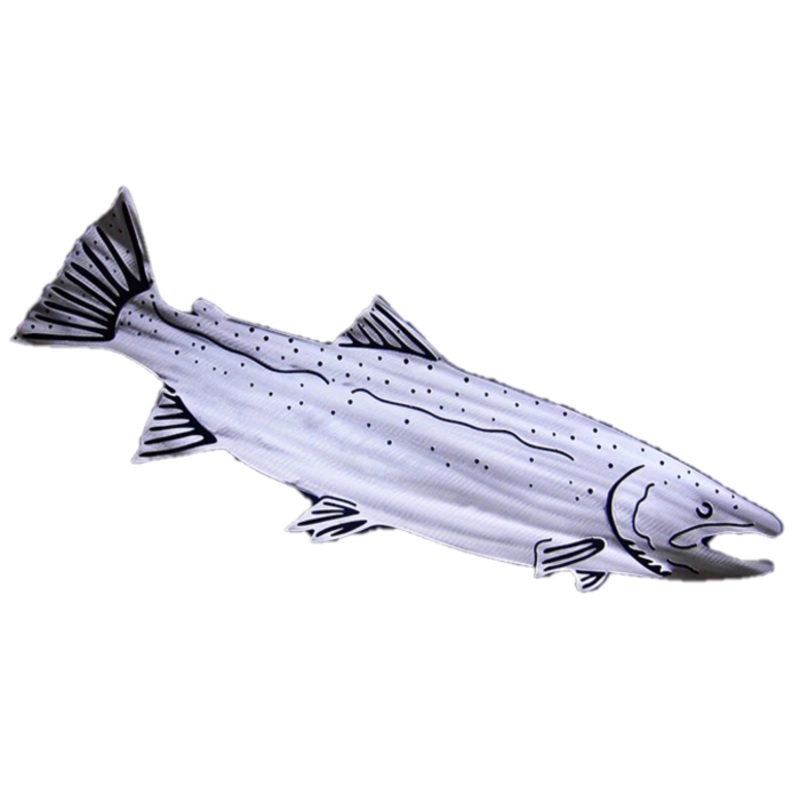 Ruggid Coast Pacific Steelhead