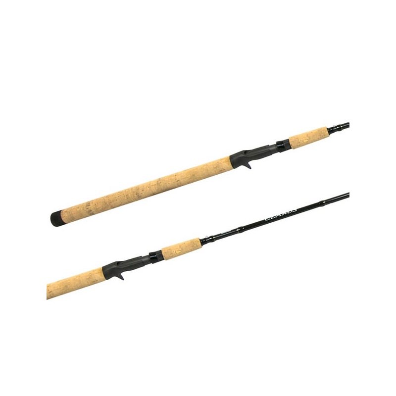 Shimano Clarus 10’6 MH Casting Rod 2024