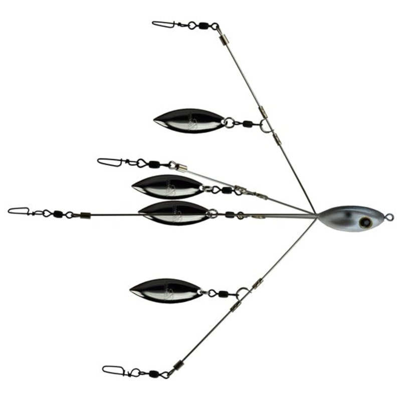 Picasso School E Rig Bait Ball