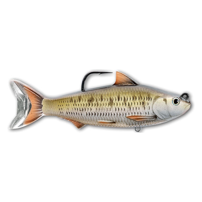 LiveTarget Common Shiner Swimbait
