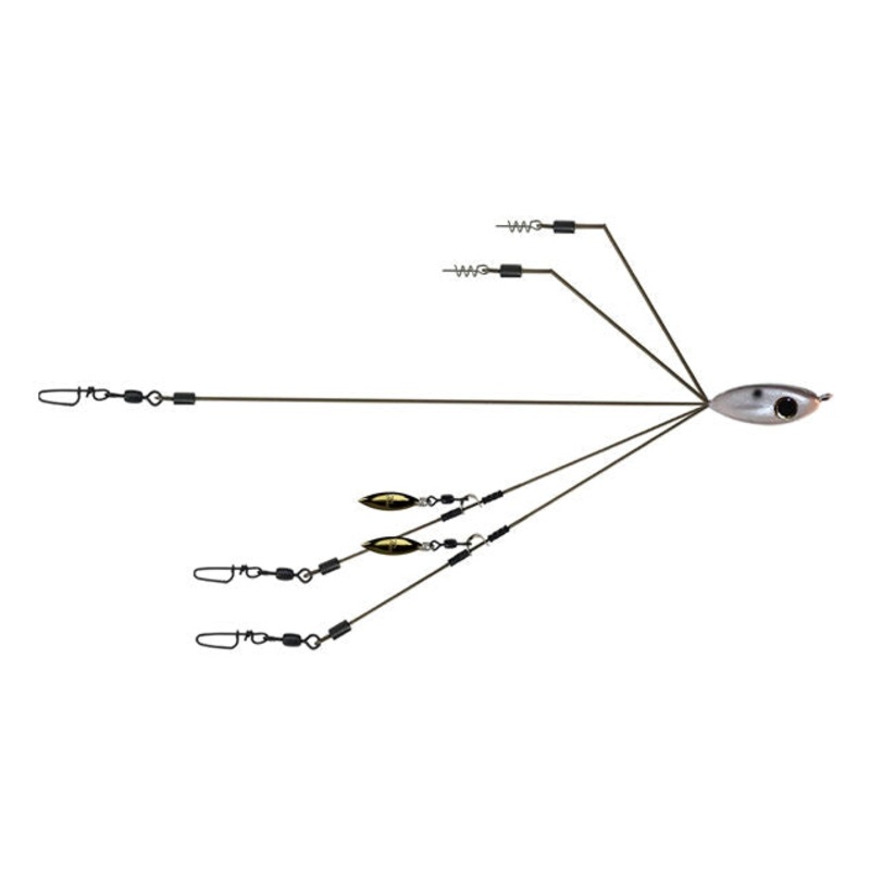 Picasso BFL SmackDown Perfection Rig