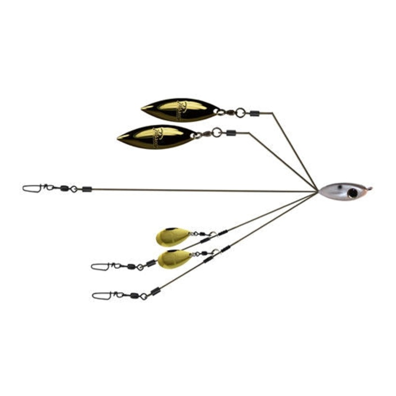Picasso BFL SmackDown Rig