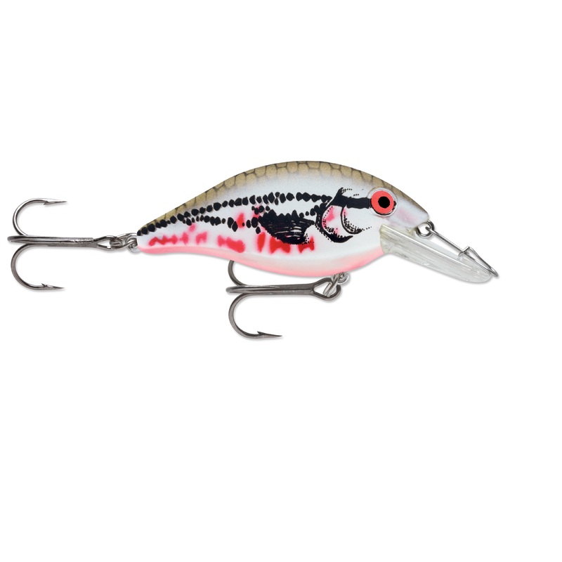 Speed Trap_Bleeding Shiner|1/4 oz