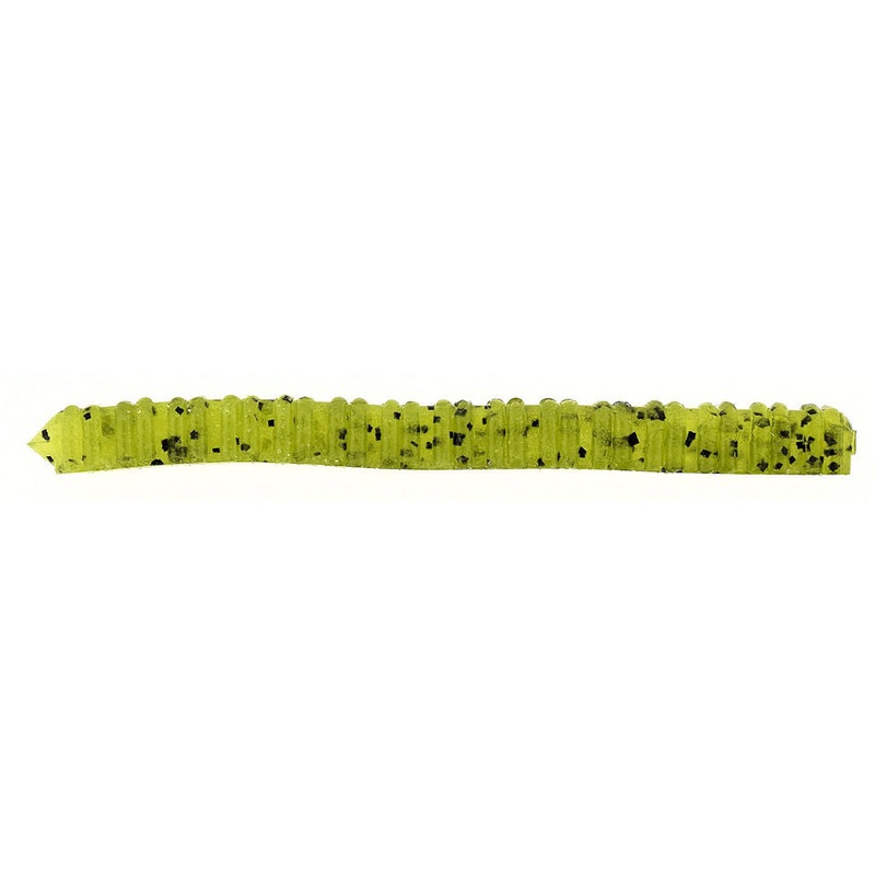 Centipede_Watermelon Seed|4″