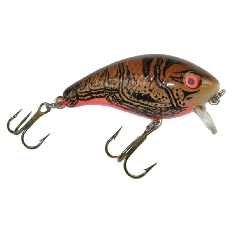Baby 1 Minus_Brown Crawfish|2 1/2″