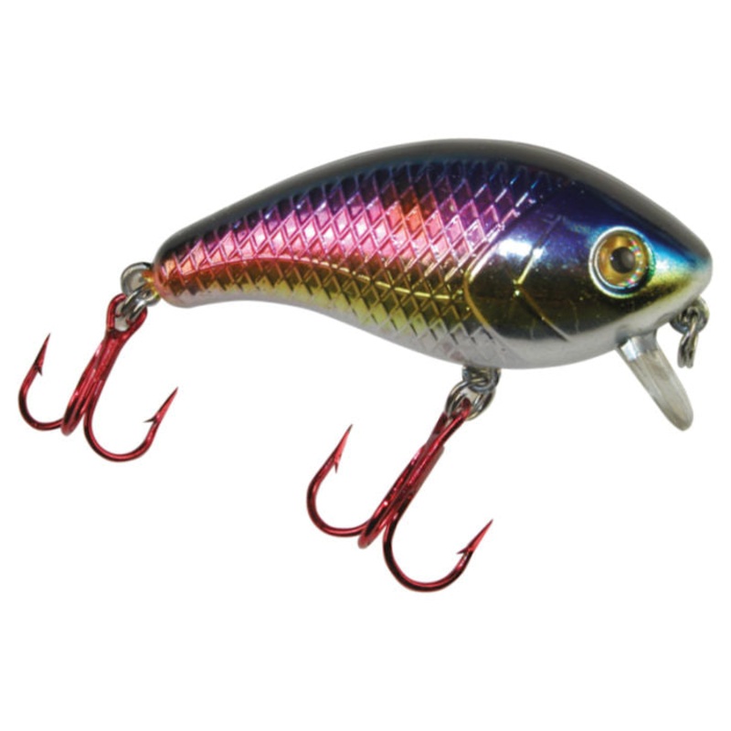 Baby 1 Minus_Elite American Shad