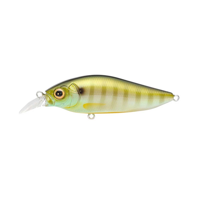 Flap Slap_Gill|3″