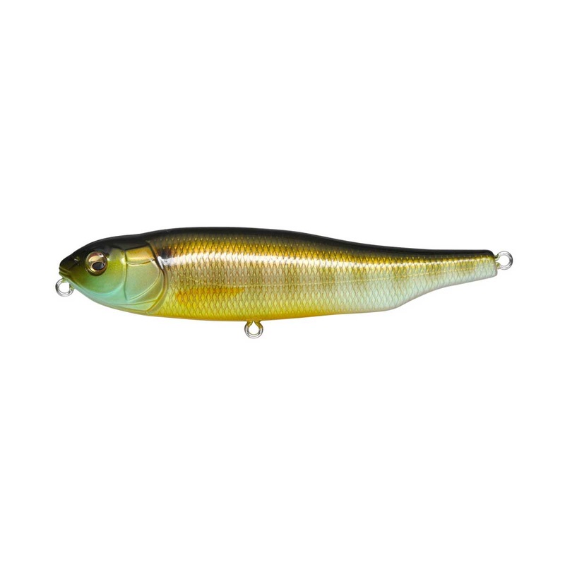 Giant Dog-X_Gill|3 7/8″