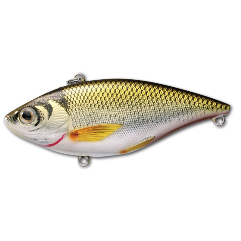 Golden Shiner Rattlebait_Gold/Black