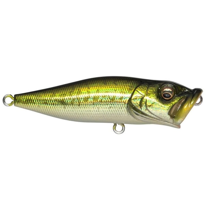 PopX_GG Bass|2 1/2″