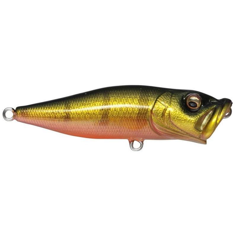 PopX_Perch|2 1/2″