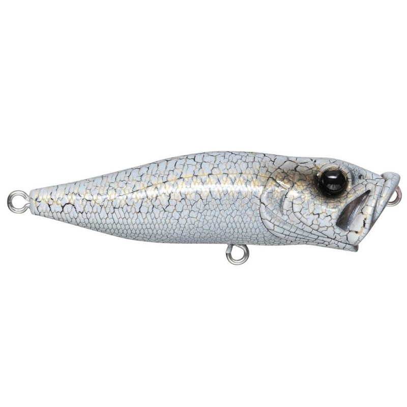 PopX_White Python|2 1/2″