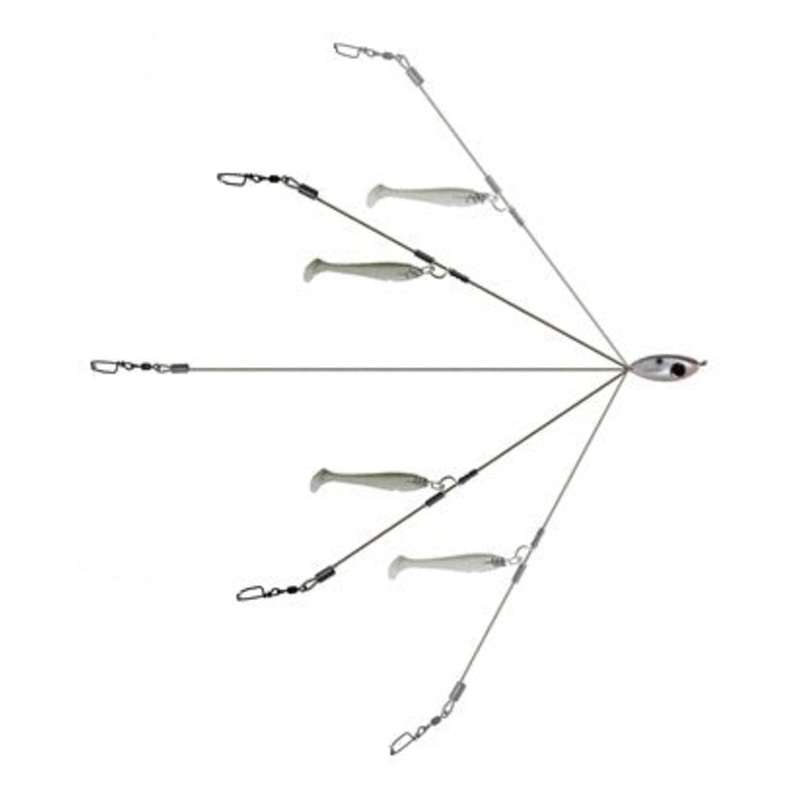 School E Rig Perfection Jr._Shad
