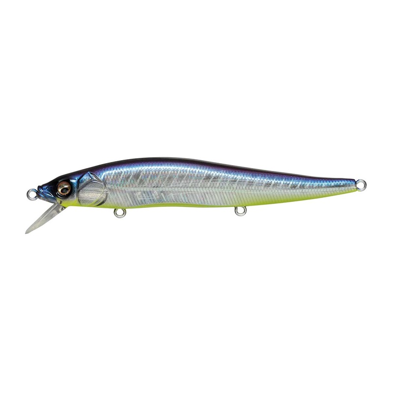 Vision 110_French Pearl|110