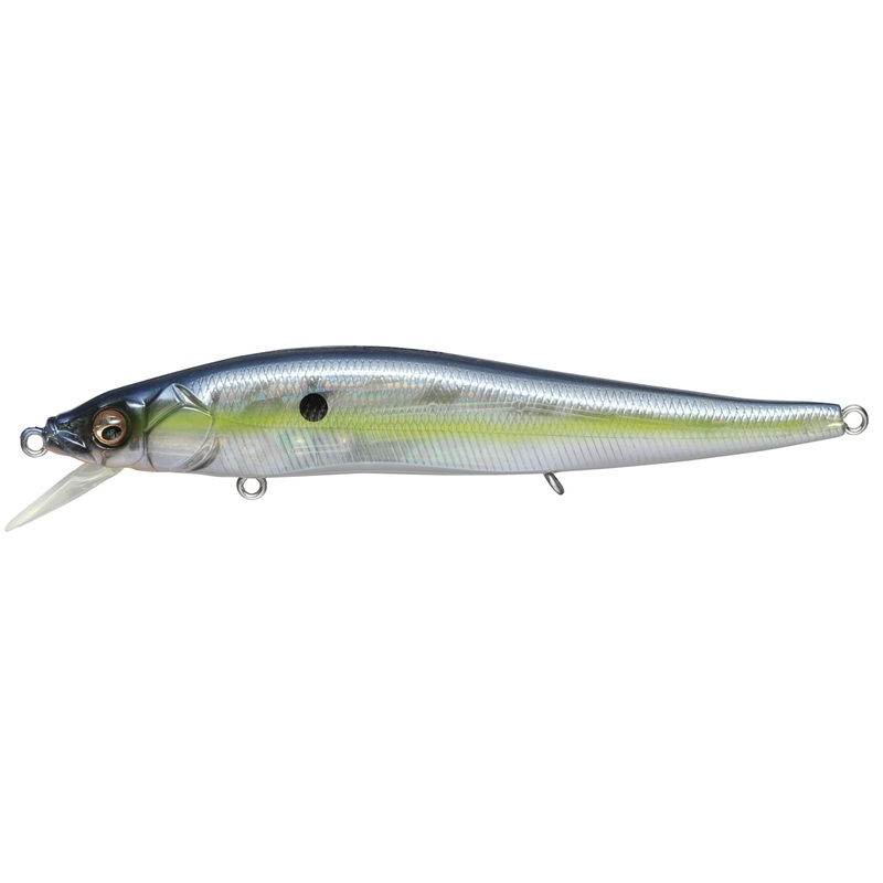 Vision 110 FX Tour Premium_FX GP Sexy Shad