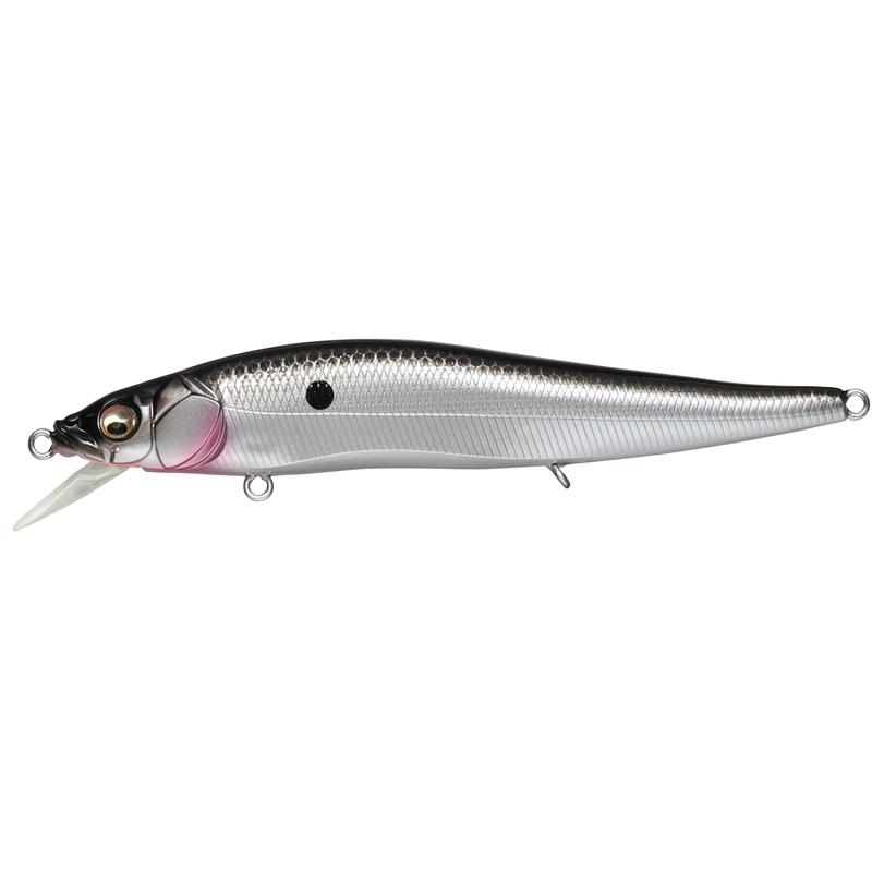 Vision 110 FX Tour Premium_FX Ozark Shad