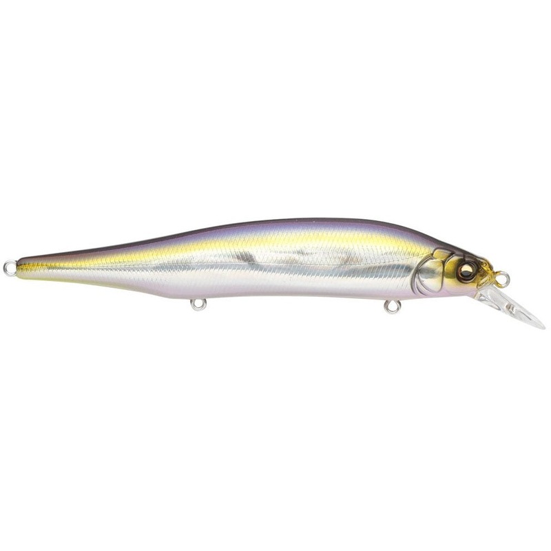 Ito Shiner_GG IL Tennessee Shad