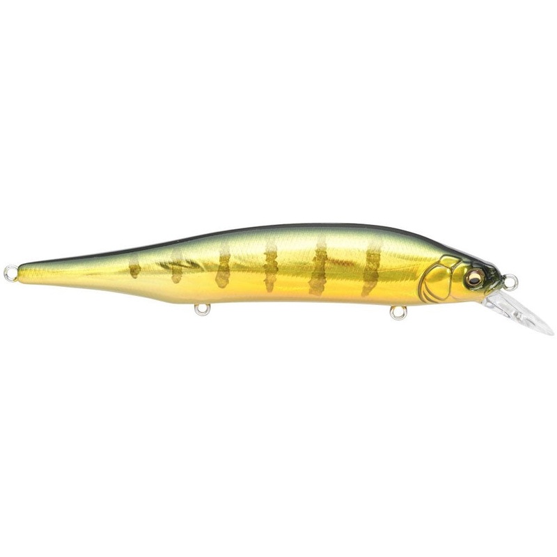 Ito Shiner_GG Perch|4 1/2″