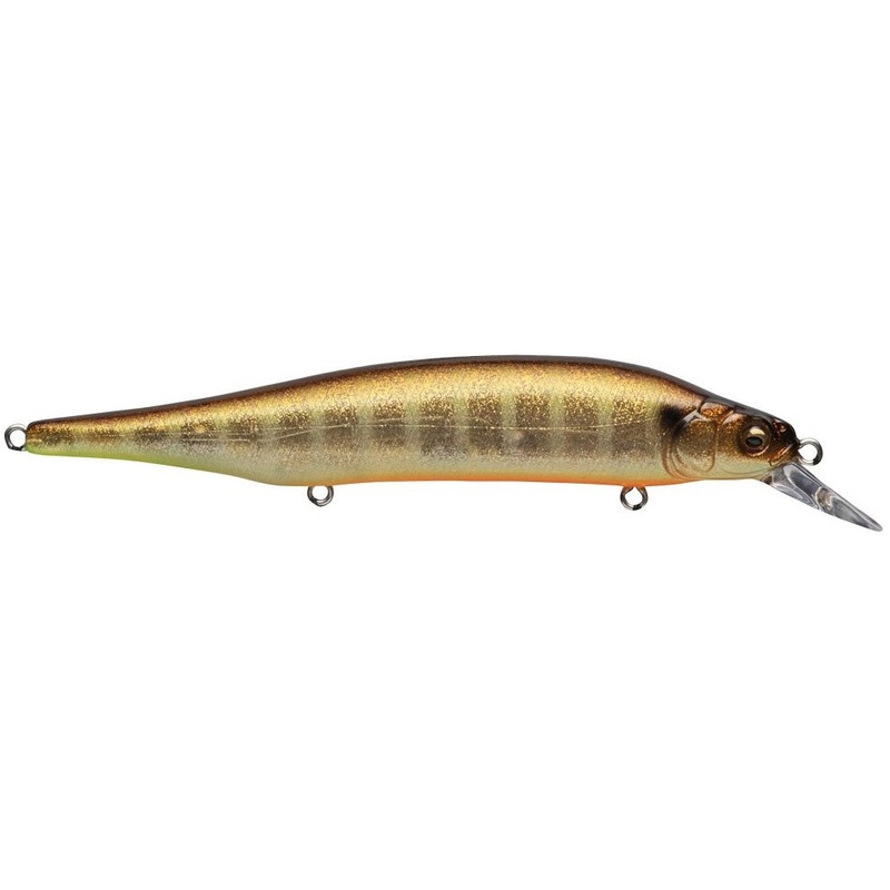 Ito Shiner_GLX Galaxy Shiner|4 1/2″