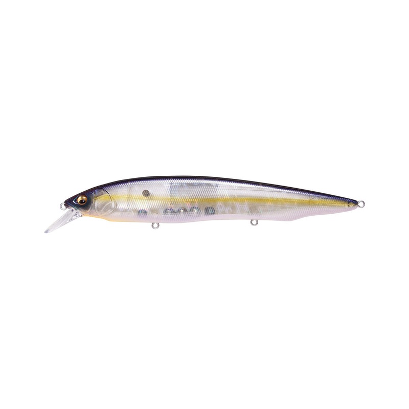 Kanata_GP Megabass Sexy Shad|6 1/3″