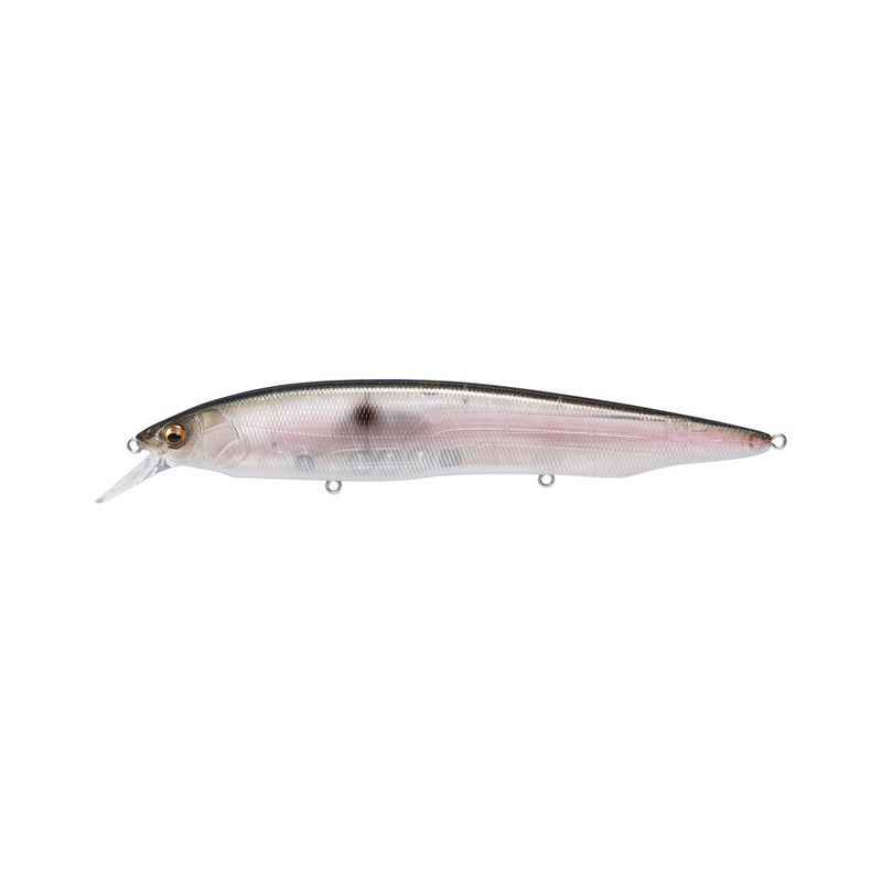 Kanata_MB Gizzard|6 1/3″