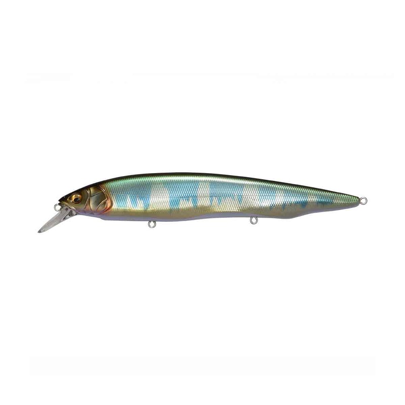 Kanata_Wagin Hasu KT|6 1/3″