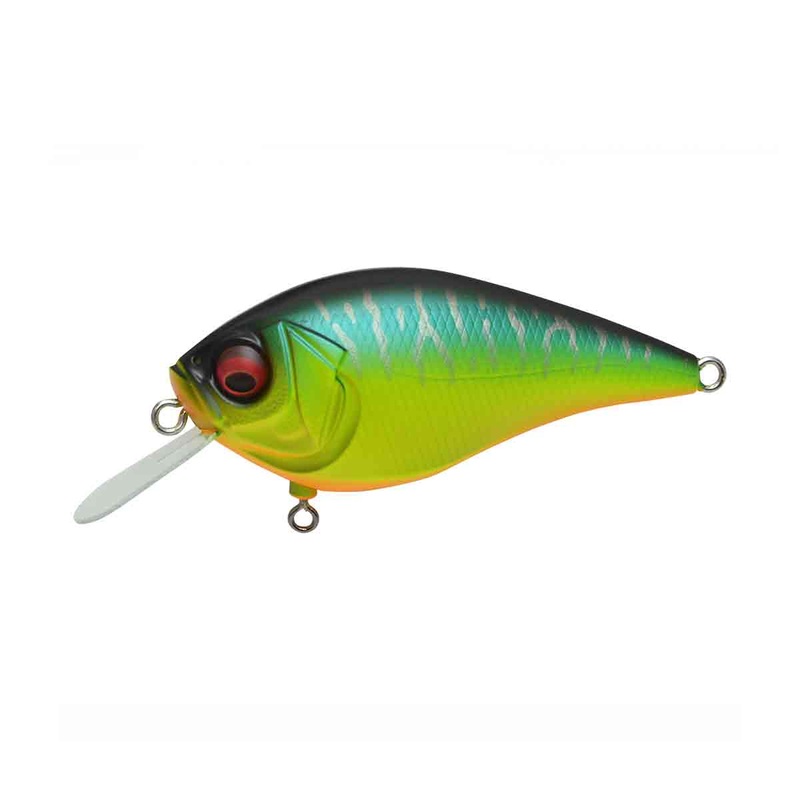 Knuckle LD_Mat Tiger|2 1/3″