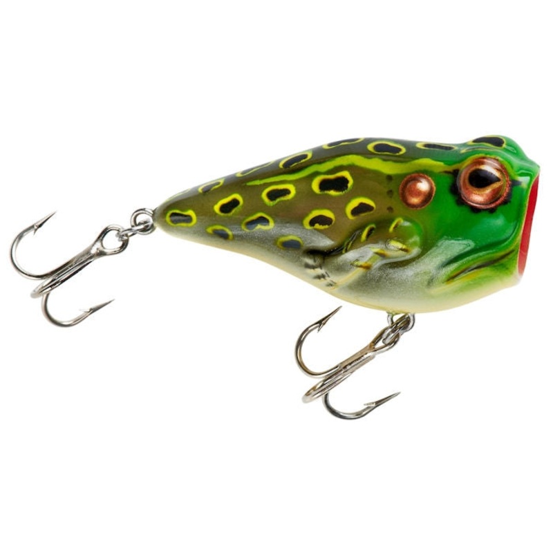 Pop’N Frog_Bull Frog|P20