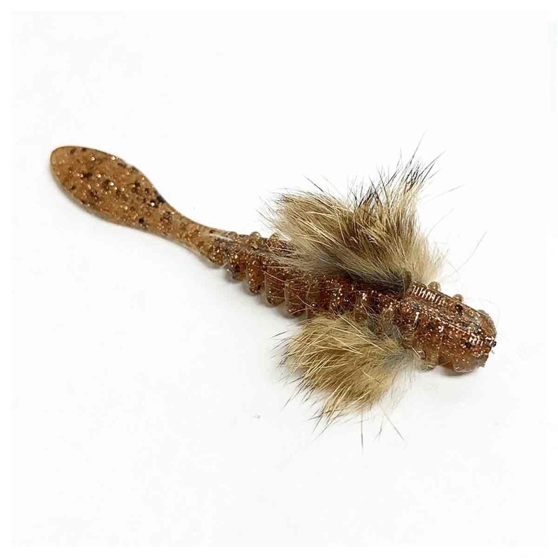 Darter_St. Lawrence|3″