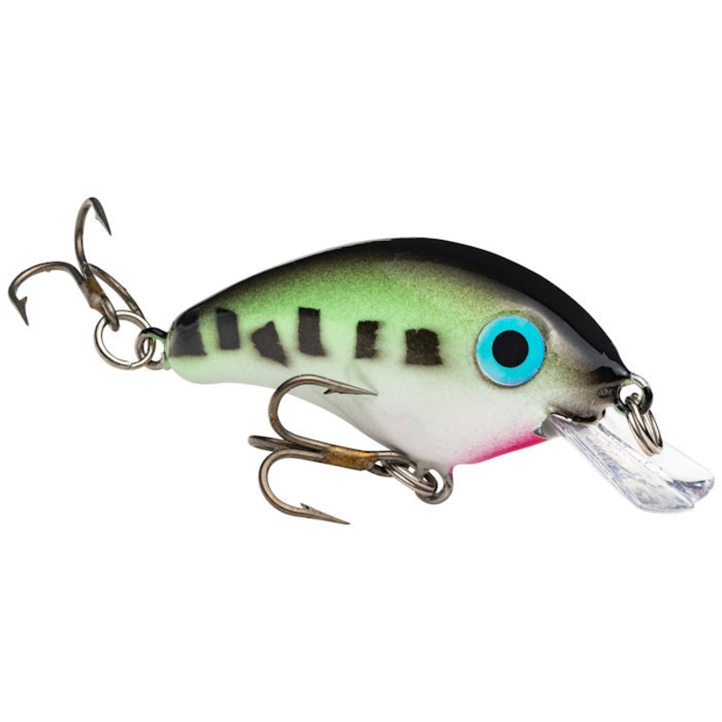 Bitsy Minnow Crankbait_Baby Bass