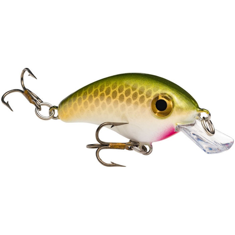 Bitsy Minnow Crankbait_Tennessee Shad