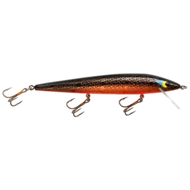 Floating Rattlin’ Rogue Deep_Gold Rogue