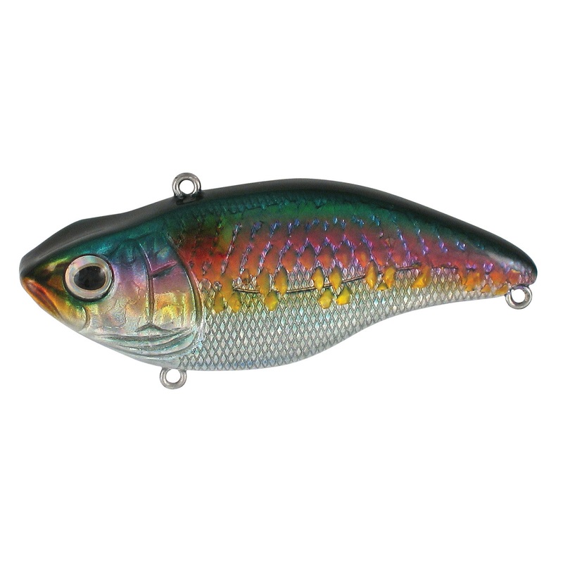 Aruku Shad Jr._Old Glory|60