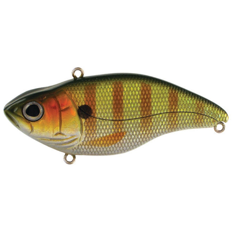 Aruku Shad Jr._Perch|60