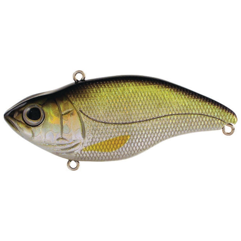 Aruku Shad Jr._Wild Shiner|60