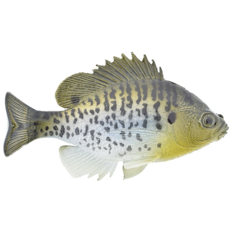 Deluxe Top Hook Huddgill _Bluegill