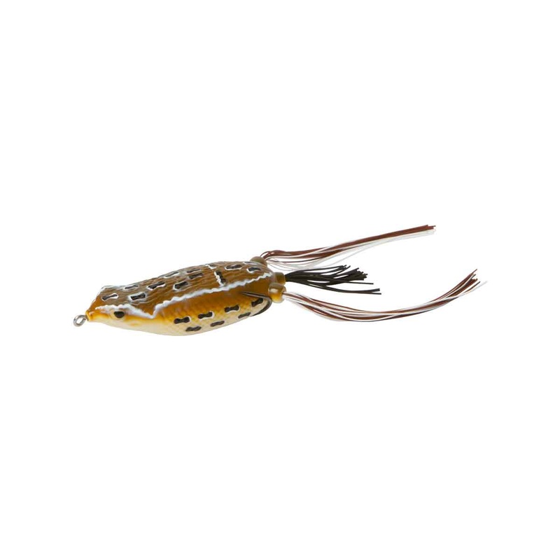 Hollow Belly Frog_Brownie|3.5″