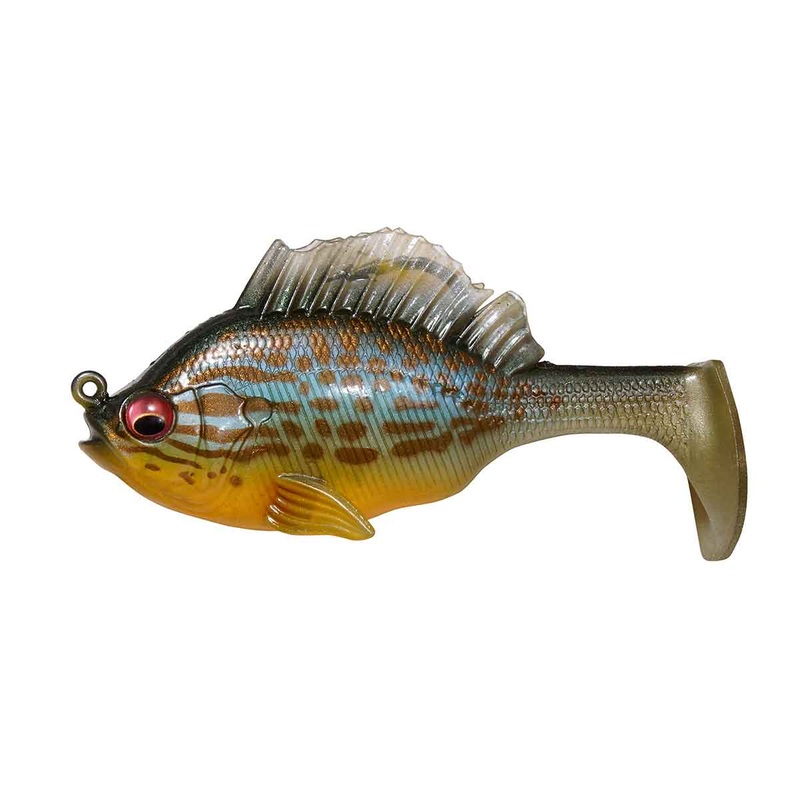 Sleeper Gill_Pumpkin Seed|3.2″