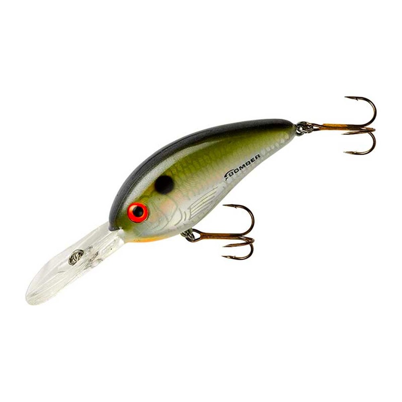 F.F. Shad_Dance’s Tennessee Shad*