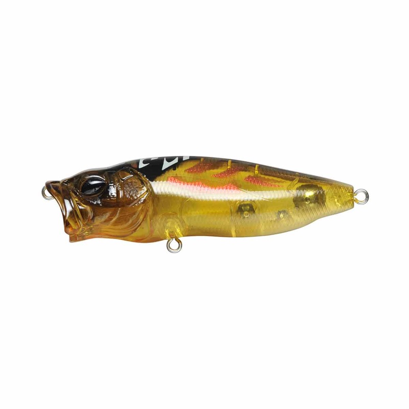 PopMax_Cicada|3 1/4″