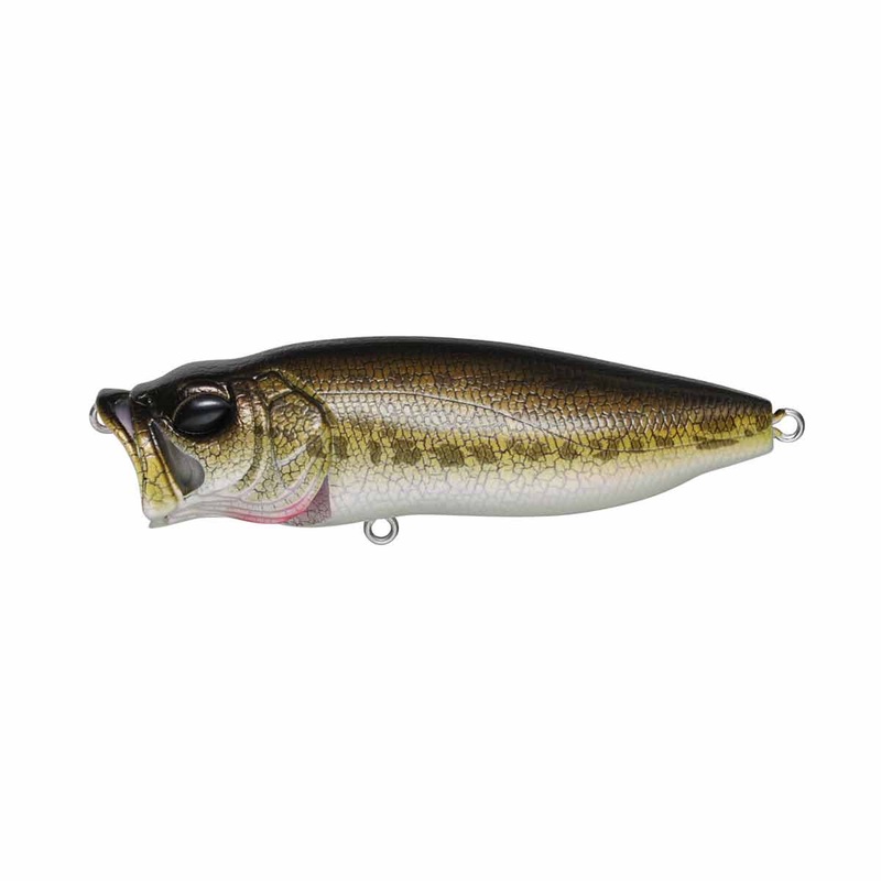 PopMax_Pagani Raigyo|3 1/4″