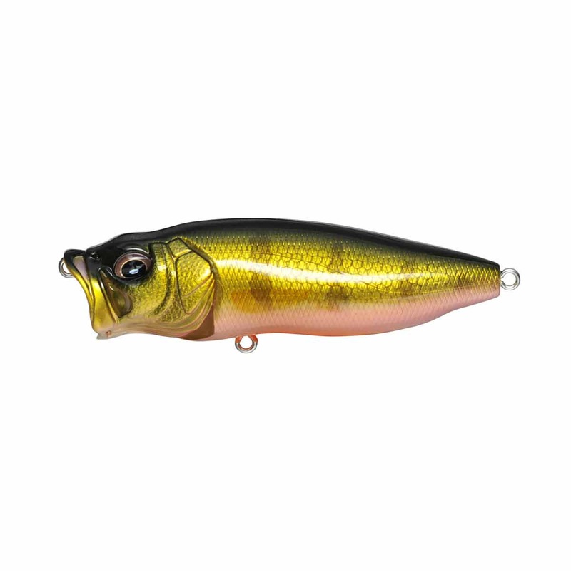 PopMax_Perch|3 1/4″