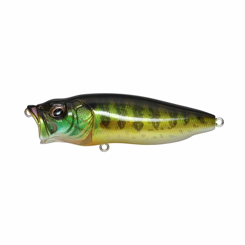PopMax_Pumpkinseed|3 1/4″