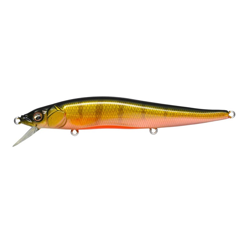 Vision 110_Perch|110